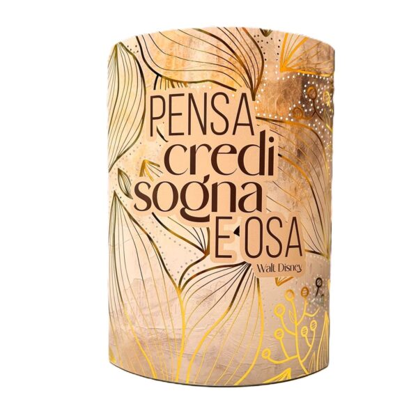 The Paper Lamp - " Pensa , credi , sogna e osa "